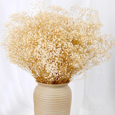 Trockenblumenstrauß mit 2000+ elfenbeinweißen Gypsophila-Zweigen 43 cm lang für