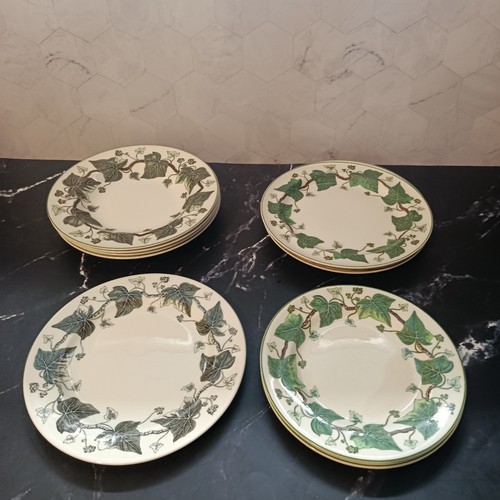Wedgwood napoleon ivy - napoleon,