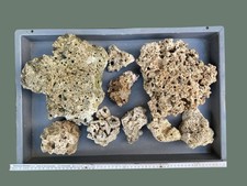 Dekogestein für Meerwasseraquarium, Riffgestein aus Aquarienauflösung, 6,5kg