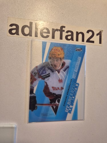Del 2018 2019 - 18-19, ice