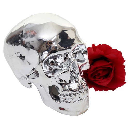 Deko totenkopf hwc - totenkopf, hwc-t921