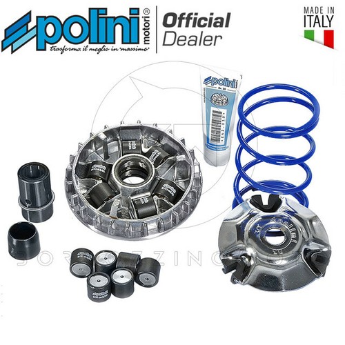 Variator polini 241 - polini, 241.713