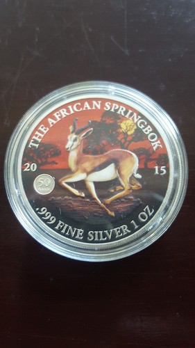 The african springbok - the,