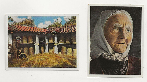 918 sammelbild - 24/918,
