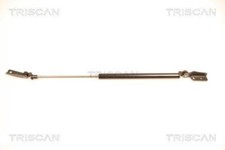 TRISCAN Gasfeder Hinten für