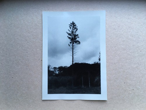 Fotokunst handabzug - fotokunst,