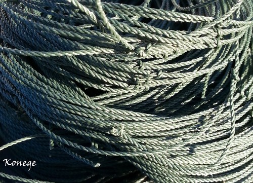 Teichnetz 20m 30m - teichnetz,