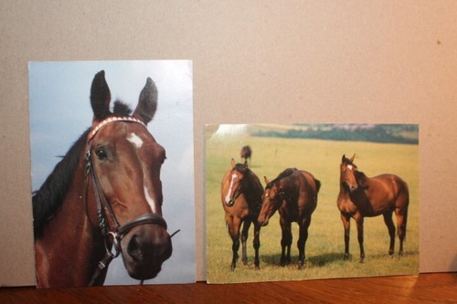 Postkarte ansichtskarte - 2x,