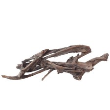 XXL Mangrovenwurzel Nr.3017