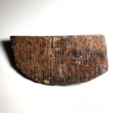 Marokkanische Thuja Wurzelholz