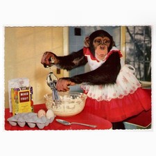 AK Schimpanse, Schimpansin steht in der Küche und macht Schlagsahne