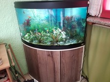 Fluval Venezia Eckaquarium 190 L mit Unterschrank Komplett-Set