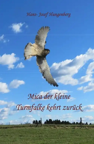 Mica der kleine - , turmfalke