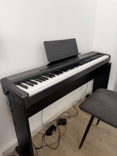 Casio cdp 100 - casio,
