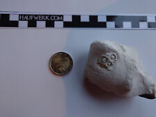 Stereocidaris Sp.  regulärer Seeigel Rügen Feuerstein Kreide