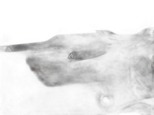 Bremssattel Bremszange Vo Re für Toyota Yaris XP13 10-14 1,0 51KW 477300D070