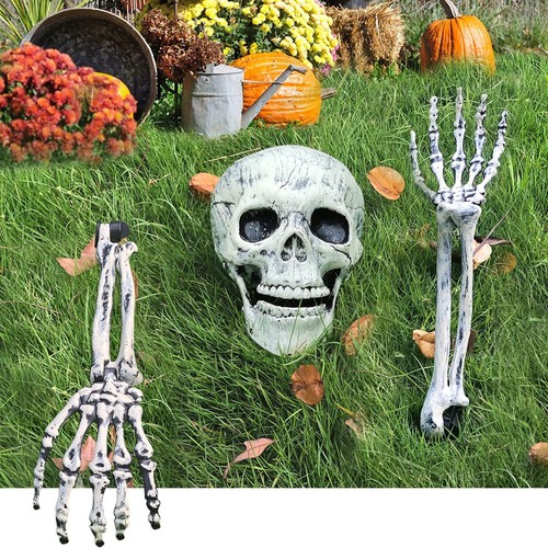 Skelett teile knochen - skelett-teile,