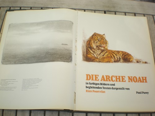 Die arche noah farbigen - die,