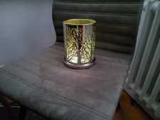 Partylite Windlicht Zauberwald gebraucht für Teelichter Silber