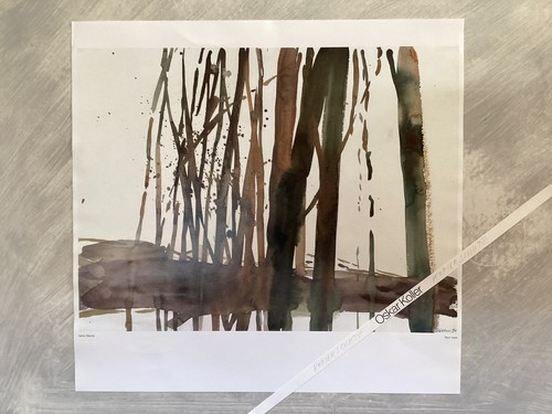 Oskar koller kunstdruck - koller,