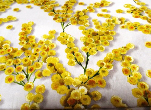 Mimosen mimosa designerstoff - mimosen,