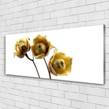 Acrylglasbilder Wandbilder aus