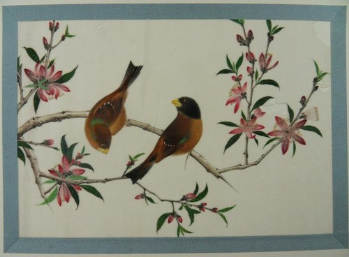 Chinesische reispapier malerei - reispapier,