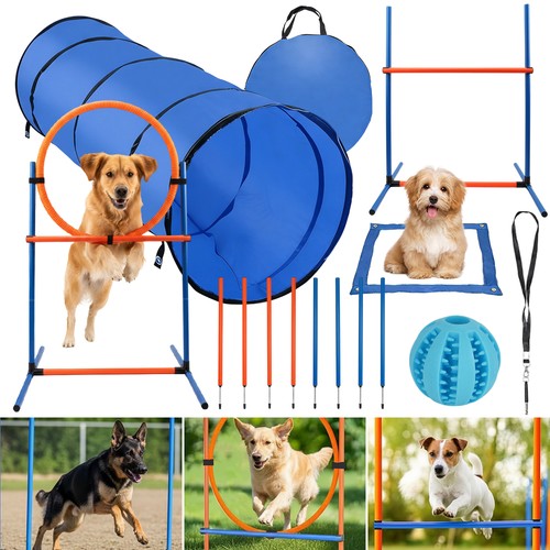 Teiliges agility training - 5-teiliges,