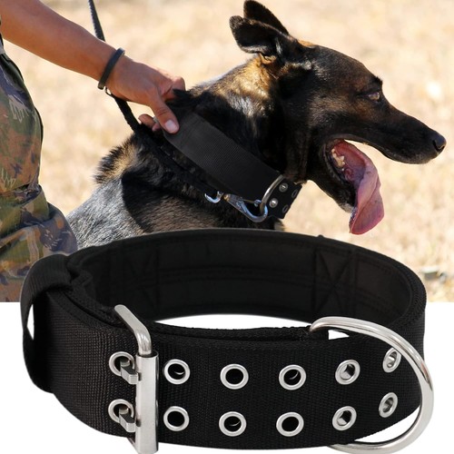 Hundehalsband für große - für,