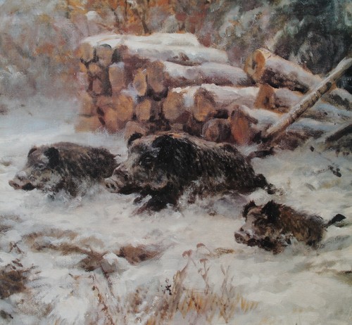 Sauen wildschweine wald - wildschweine,