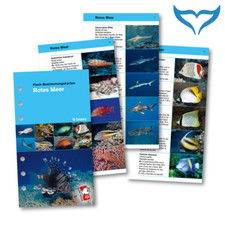 iQ Logbuch M Fish Card Fisch