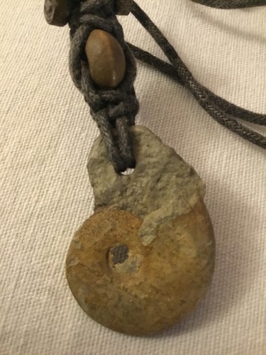 Anhänger kette ammonit - anhänger,