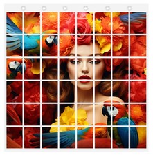 Fotovorhang 102x91 cm 48 Fotos