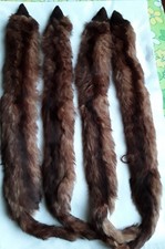 4 Marderfelle für Pelzkragen
