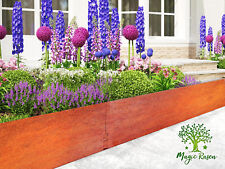 Rasenkante 4mm15-25cm Corten Stahl Edelrost Mähkante Beeteinfassung Umrandung ZP