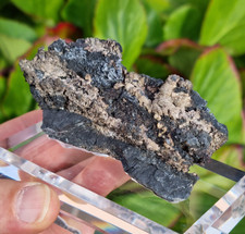 💎Video🌈Top seltene ged