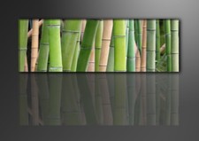Bilder leinwand 120 - leinwand,