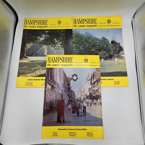 Vintage hampshire county - hampshire,