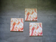 Bilder 3 Stück zus. Rosenbilder Leinwandbilder