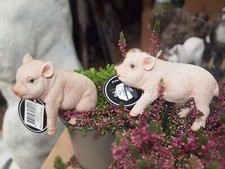 Schwein Miniatur Deko Figur