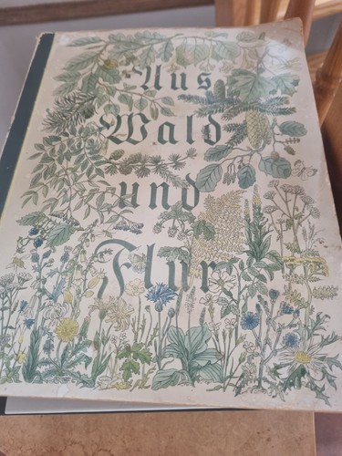 Durch wald und flur - wald,
