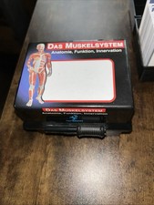 Anatomie-Lernkarten, Die