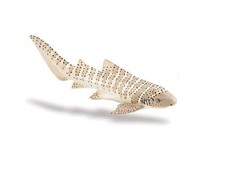 Safari ltd 223329 - safari, 13