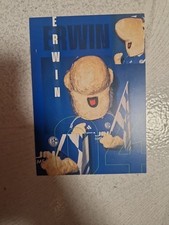 Maskottchen Erwin (FC Schalke 04 2024/2025) Autogrammkarte Fußball Knappen