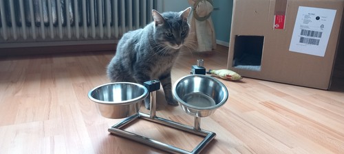 Futterbar futterstation - /, /