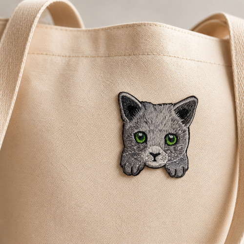 Graue britisch kurzhaar katze - graue,