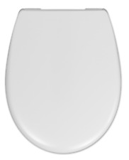 WC Sitz passend Villeroy &