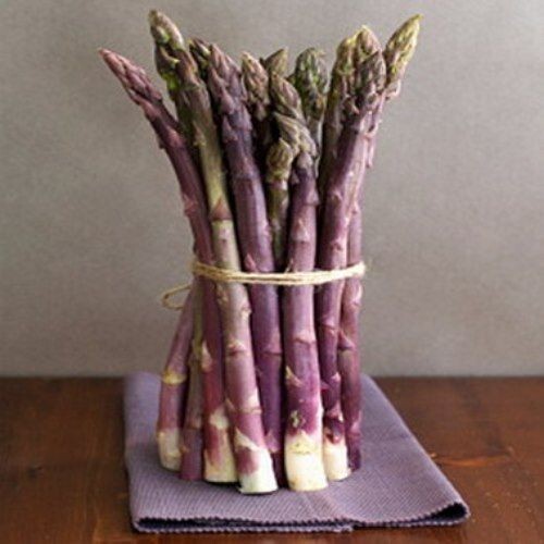 Französische spargel - spargel,