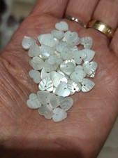 Restposten Muscheln Perlen in