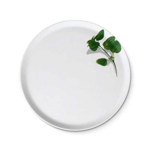 Creatable europa kräuter - creatable,